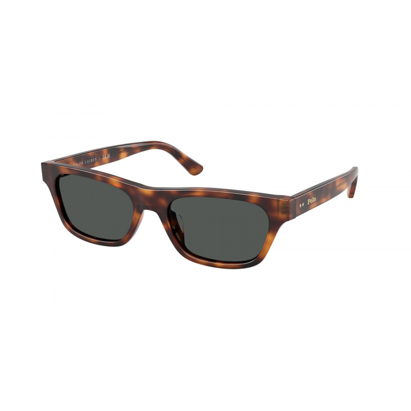 Sunglasses Polo PH 4238 U 635587 Shiny Marrone Tartaruga / Dark Grey Polyamide Standard 53mm