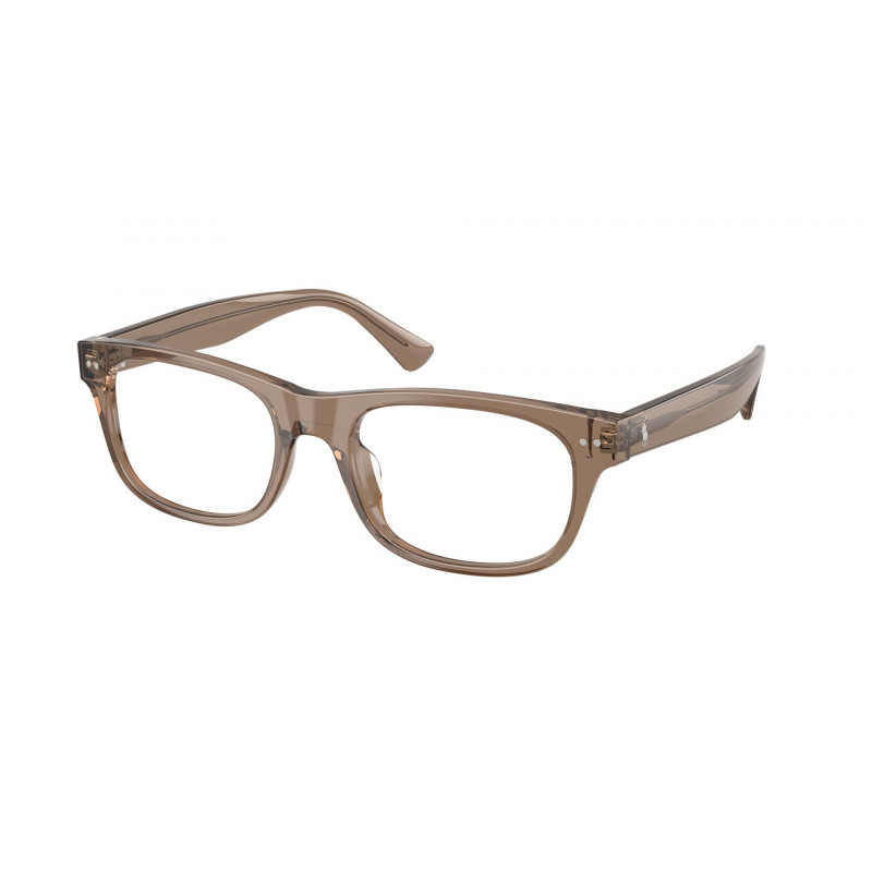 Eyeglasses Polo PH 2317 U 6085 Shiny Transparent Brown Taupe / Demo Lens 54mm