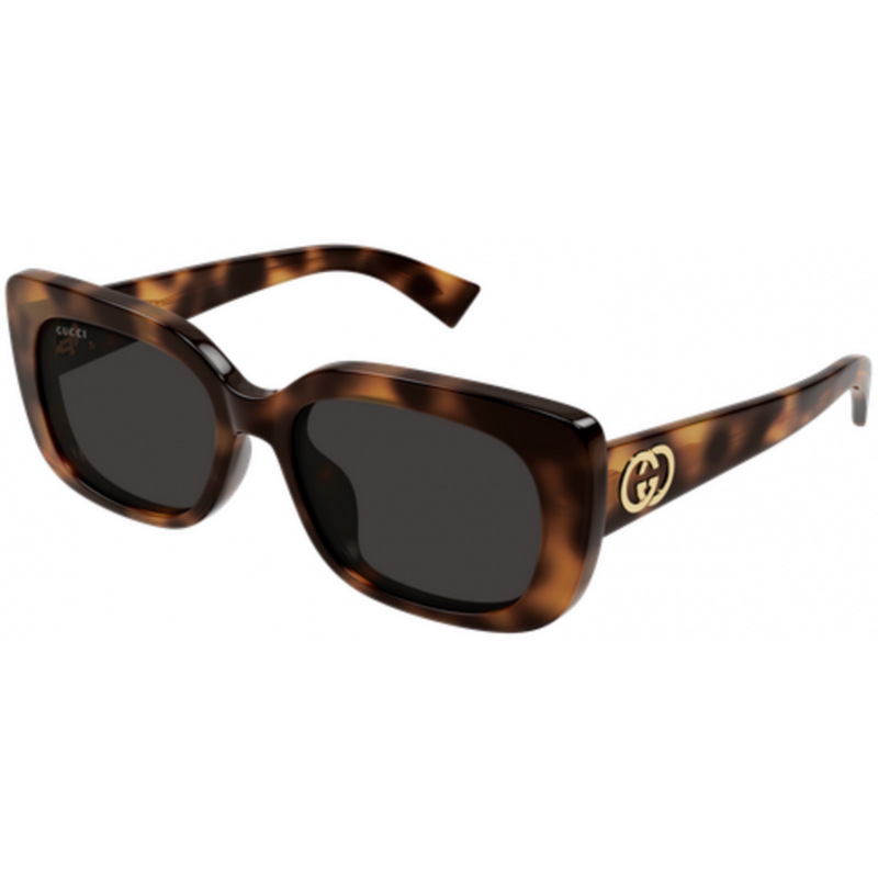Sunglasses Gucci GG 1979 SK- 002 Havana / Grey 55mm