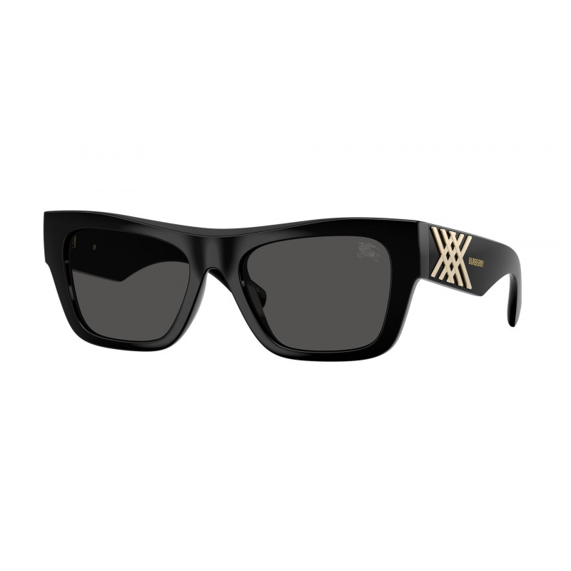 Sunglasses Burberry BE 4490 U 300187 Black / Dark Grey Polyamide Standard 53mm