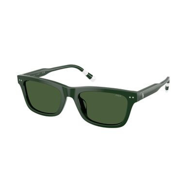 Sunglasses Polo PH 4240 U 631671 Shiny Green / Dark Polyamide Standard 54mm