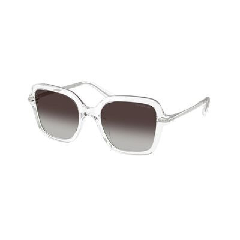 Sunglasses Swarovski SK 6040 F 10278G Transaparent / Gradient Grey Polyamide Standard 52mm