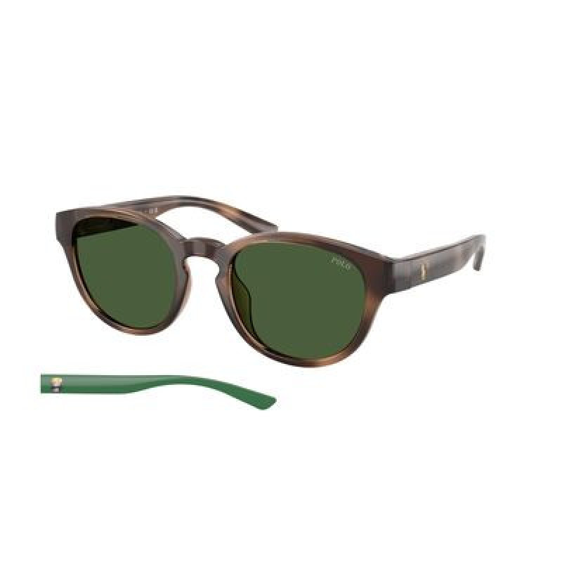 Sunglasses Polo PH 4233 U 607071 Shiny Dark Havana / Bottle Green Polyamide Standard 51mm