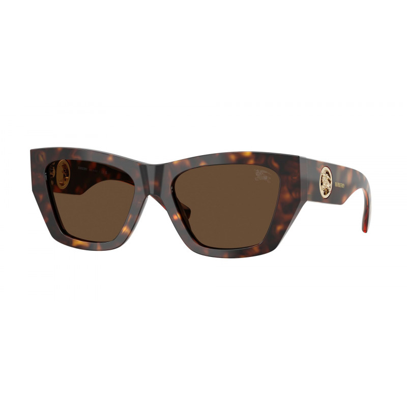 Sunglasses Burberry BE 4492 300273 Dark Havana / Brown Polyamide Standard 54mm