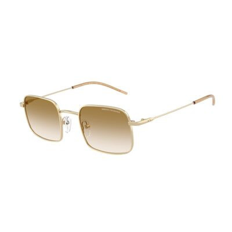 Sunglasses Armani Exchange AX 2055 S 611013 Shiny Pale Gold / Gradient Brown Policarbonate Standard 46mm
